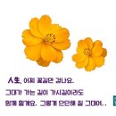 술람미 이미지