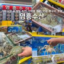 해소수산 | 가락시장 꽃게찜 추천 가락몰 횟집 맛집 쭈꾸미 영흥수산 포장