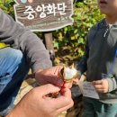 씨앗나무교육원 네이버블로그