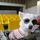 통일안보공원(출입통제소) | 고성 통일전망대 가는 방법｜입장 절차, 후기, 애견동반 정보