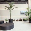 어니언테이블 이미지