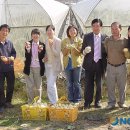 천평2리 이미지