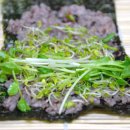 새싹김밥 - 대덕구 계족산로17번길 34 | 새싹김밥
