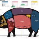 고기를품다 이미지