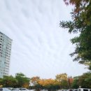 율하초등학교 이미지