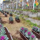 온양3동 모종로 이미지