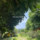 비산가든 이미지