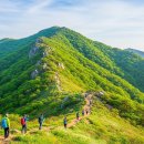 전북 장수 장안산 등산코스 초보자도 쉽게 오를 수 있는 6km 완만한 길 이미지