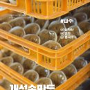 손만두야 | 파주 심학산 맛집, 손만두계의 최강자 개성손만두 솔직후기