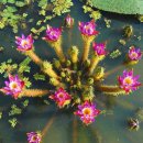 동국목장 이미지