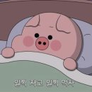 삼정분식 이미지