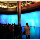 호텔 하버 이미지