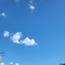 우량 소갈비살