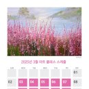 아띠스떼21