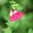 여울산장 이미지