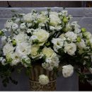 분당요한성당 이미지