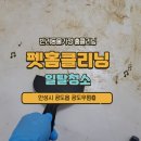 우림 크리닝 이미지