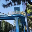 영등포좋은나무 이미지