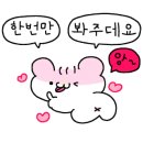 플라워 헬스&필라테스 청주대점 네이버블로그