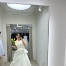 w12. 셀프웨딩/야외스냅 드레스 피팅/대여 후기 : 베일즈,아베끄르땅,수자드레스,모드니,메리앤마리