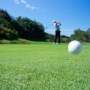 TOP실내골프 이미지