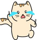 오븐의하루