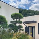 포레스트G1 이미지