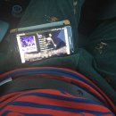 태진차유리 이미지