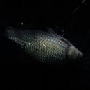 산우물소류지 이미지