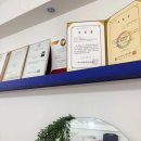 지에스25 주안인하로점 | (주안속눈썹)전문, 뷰티,숲 주안점에서 받은 완벽한 맞춤 속눈썹 관리 후기
