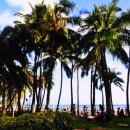 이영애농장 | 하와이 허니문 패키지 항공권 숙소 일정 추천 총정리