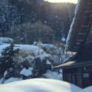 키도민박 이미지