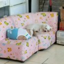 호텔나른 이미지