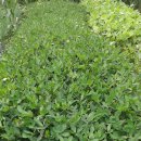 경섭농장 이미지