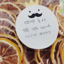 FIT U.S.A(피투사) 이미지