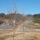 와리농장 이미지