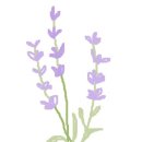 31140-9-20-9 이미지