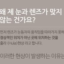 중앙콘택트렌즈. 안경(중앙점) 네이버블로그