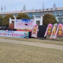 하이초등학교 Daum카페