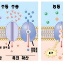 한선빌딩 | 광명시피부학원, 피부 필기 해부생리학 너무 어렵죠!!!ㅠㅠㅠㅠ
