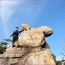 남해-299 이미지