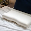 베개 하나로 달라진 수면의 질 템퍼 에르고 플러스 베개 솔직 후기