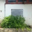 신흥동007 이미지