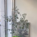 미니룸MINIROOM 이미지