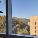 은평성모의료 주식회사 | 은평성모병원 출산후기(초스피드 출산후기..)/초산모자연분만/무통주사/총 비용 등