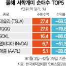 테슬라·TQQQ에 7조 담았는데…수익률 '-80%' 곡소리 이미지