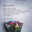 풀잎 이미지