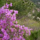 우리친구 이미지