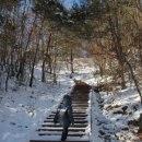 붕어섬 식당 이미지