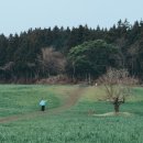 월평목장 이미지